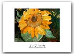 Sun Flower #1