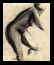 Nude3